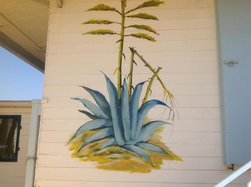 Blue Bab Bed & Breakfast